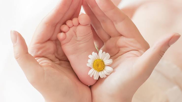 Confidomed,  Eğitim Ve Online Eğitim , Hastaneler Ve Klinikler , Üniversiteler , Staj Programları,Cerrahi Aletler,Tıbbi Cihazlar,Hastane Ekipmanları,Hastane Bilgi Ve Yönetim Sistemleri,Hastane Mimari Projeler,Cerrahi Aletler,Yapı Malzemeleri,İç Mimarlık