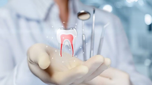 Confidomed,  Eğitim Ve Online Eğitim , Hastaneler Ve Klinikler , Üniversiteler , Staj Programları,Cerrahi Aletler,Tıbbi Cihazlar,Hastane Ekipmanları,Hastane Bilgi Ve Yönetim Sistemleri,Hastane Mimari Projeler,Cerrahi Aletler,Yapı Malzemeleri,İç Mimarlık