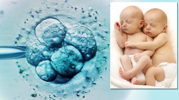 Confidomed,  Eğitim Ve Online Eğitim , Hastaneler Ve Klinikler , Üniversiteler , Staj Programları,Cerrahi Aletler,Tıbbi Cihazlar,Hastane Ekipmanları,Hastane Bilgi Ve Yönetim Sistemleri,Hastane Mimari Projeler,Cerrahi Aletler,Yapı Malzemeleri,İç Mimarlık